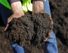 Du compost à disposition des habitants