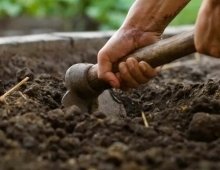 Envie de compost à Chavigny