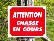 Attention - Battue d'effarouchement à Chavigny