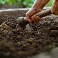 Envie de compost à Chavigny