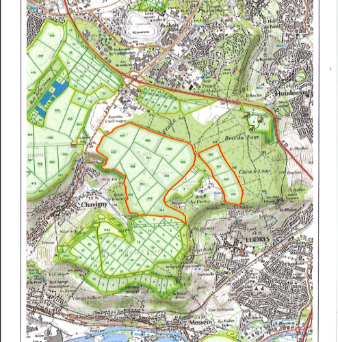 Chasse forêt domaniale